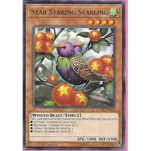 DANE-EN024 Star Staring Starling – Rare