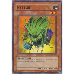 kduy CSOC-EN024 Nettles - Common