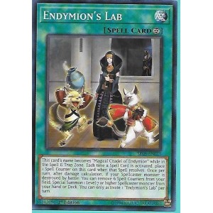 SR08-EN023 Endymion’s Lab – Common