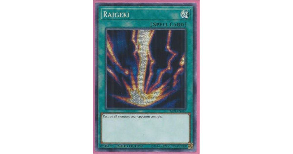 Yu-Gi-Oh! Raigeki Prismatic Secret Rare Karte TN19-EN010 - Limited Edition Mega Pack Tin