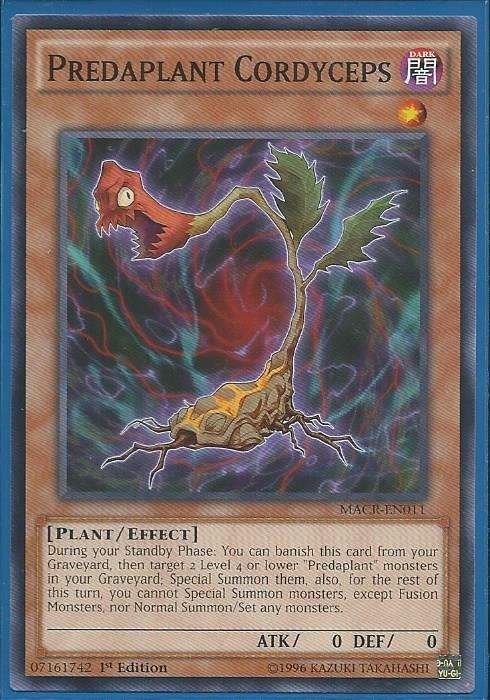 kduy MACR-EN011 Predaplant Cordyceps - Common