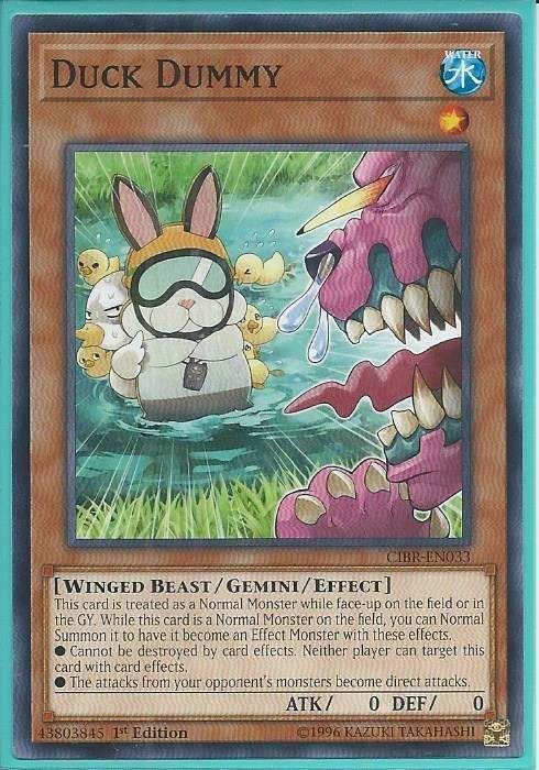 CIBR-EN033 Duck Dummy – Common