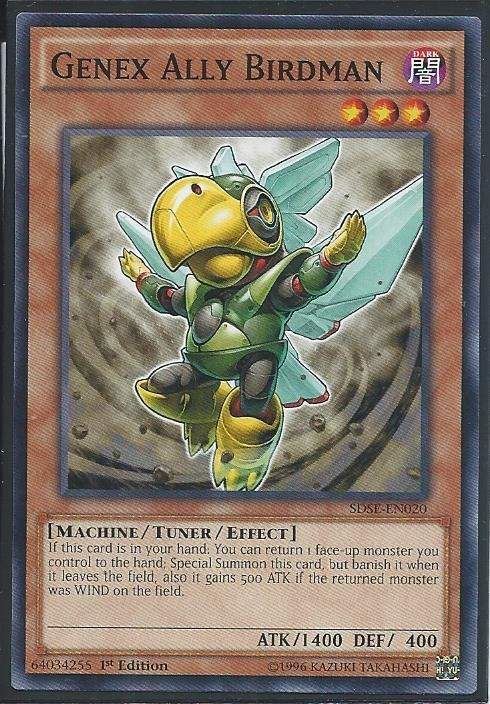 SDSE-EN020 Genex Ally Birdman – Common