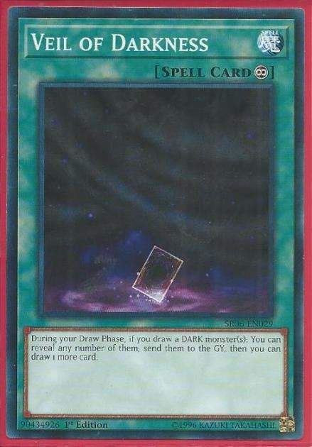 SR06-EN029 Veil Of Darkness – Common