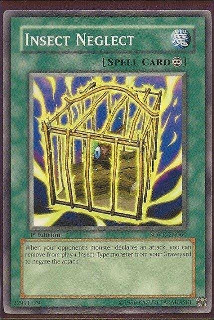 SOVR-EN061 Insect Neglect – Common