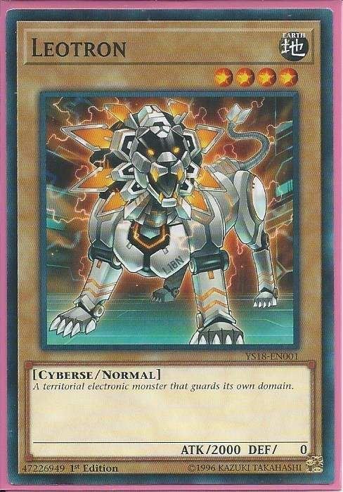 YS18-EN001 Leotron – Common