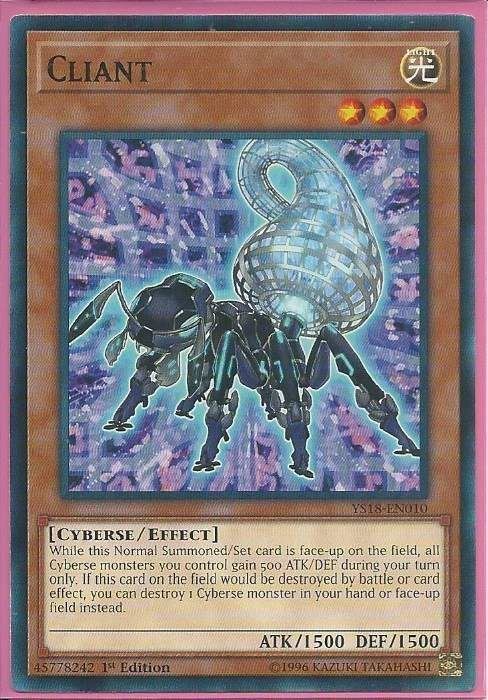 YS18-EN010 Cliant – Common