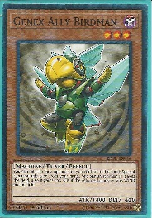 SDPL-EN016 Genex Ally Birdman – Common