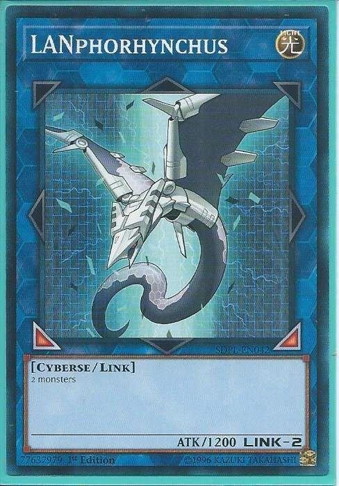 SDPL-EN042 LANphorhynchus – Common