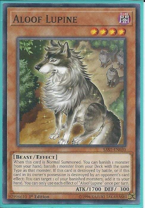 SAST-EN030 Aloof Lupine – Common