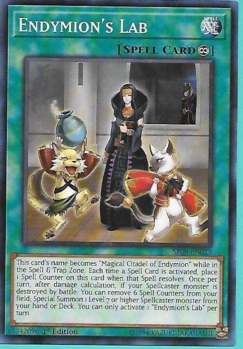 SR08-EN023 Endymion’s Lab – Common