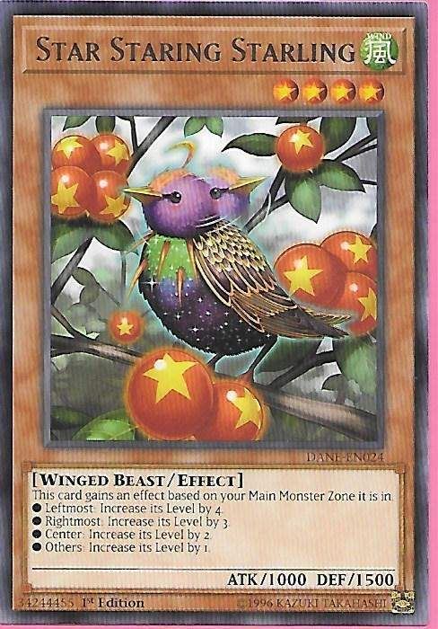 DANE-EN024 Star Staring Starling – Rare