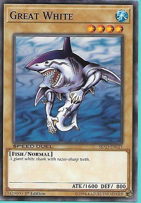 SBAD-EN021 Great White – Common