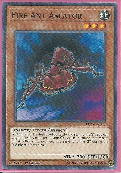 LED5-EN030 Fire Ant Ascator – Common