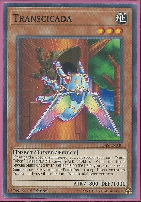 IGAS-EN030 Transcicada – Common