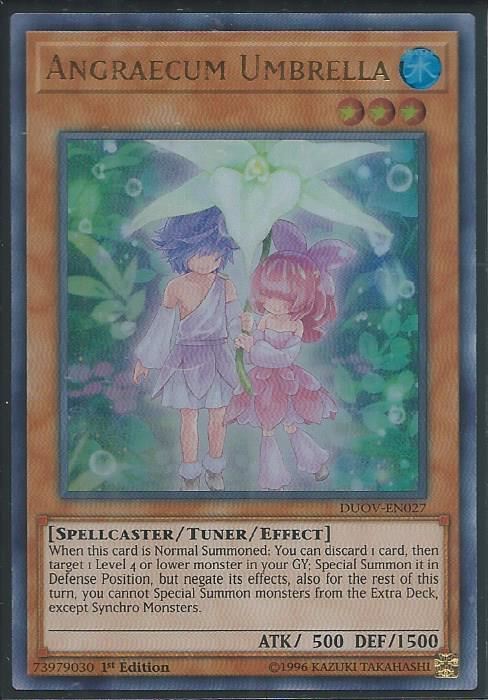 DUOV-EN027 Angraecum Umbrella - Ultra Rare