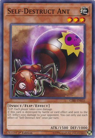 kduy CIBR-EN035 Self-Destruct Ant - Common