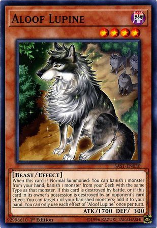 kduy SAST-EN030 Aloof Lupine - Common