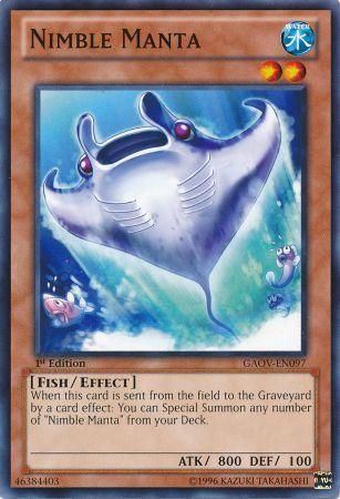 kduy GAOV-EN097 Nimble Manta - Common