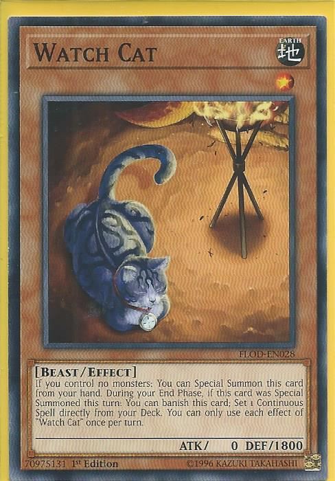 kduy FLOD-EN028 Watch Cat – Common