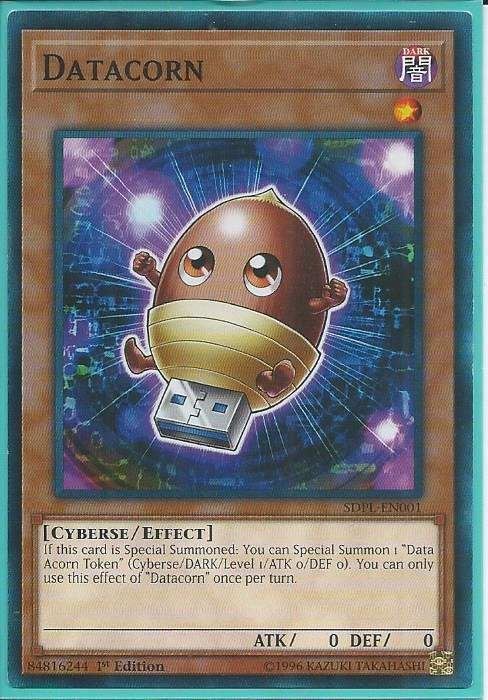 kduy SDPL-EN001 Datacorn – Common