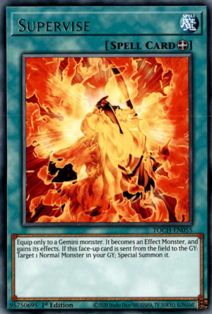 TOCH-EN055 - Supervise - Rare