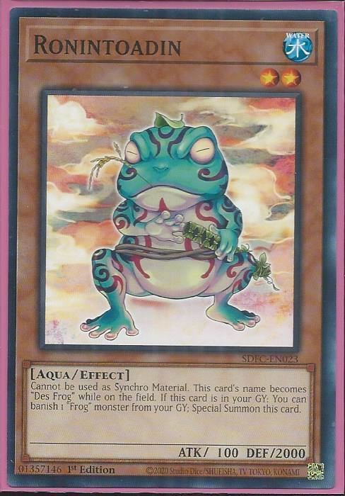 SDFC-EN023 Ronintoadin – Common