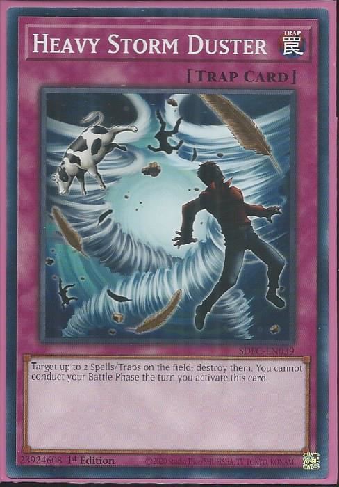 SDFC-EN039 Heavy Storm Duster – Common