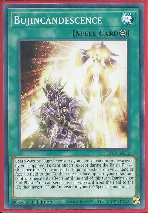 LIOV-EN062 Bujincandescence – Common