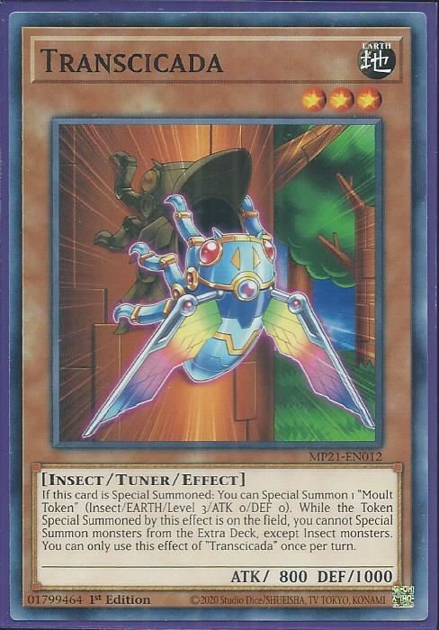 MP21-EN012 Transcicada – Common