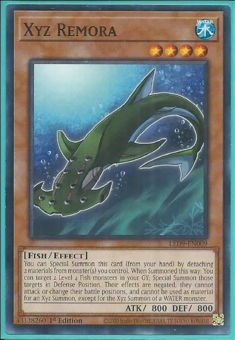 LED9-EN009 Xyz Remora – Common