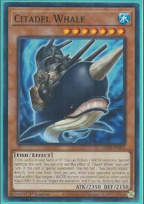 LED9-EN026 Citadel Whale – Common