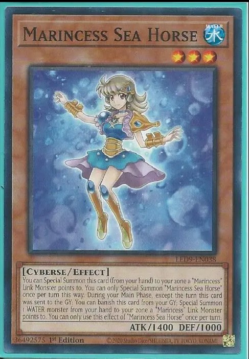 LED9-EN038 Marincess Sea Horse – Common