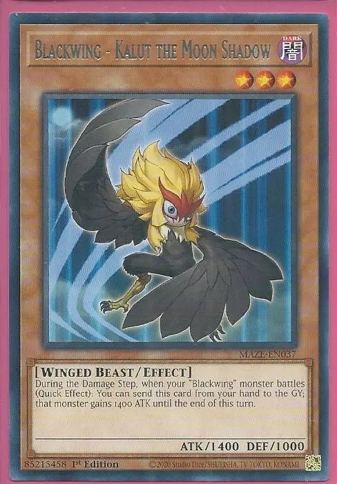 MAZE-EN037 Blackwing – Kalut the Moon Shadow – Rare