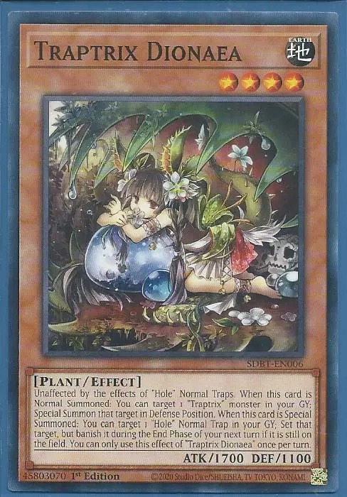 SDBT-EN006 Traptrix Dionaea – Common