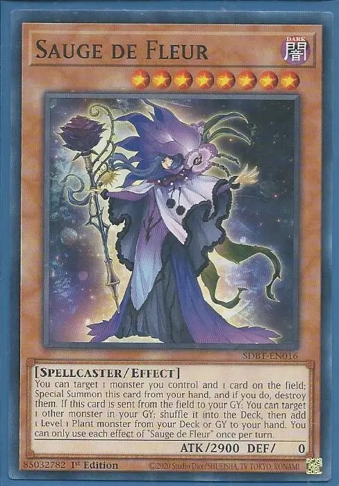 SDBT-EN016 Sauge de Fleur – Common