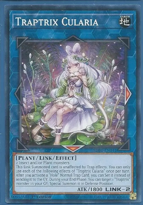 SDBT-EN041 Traptrix Cularia – Common