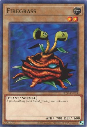 LOB-EN018 Firegrass Common