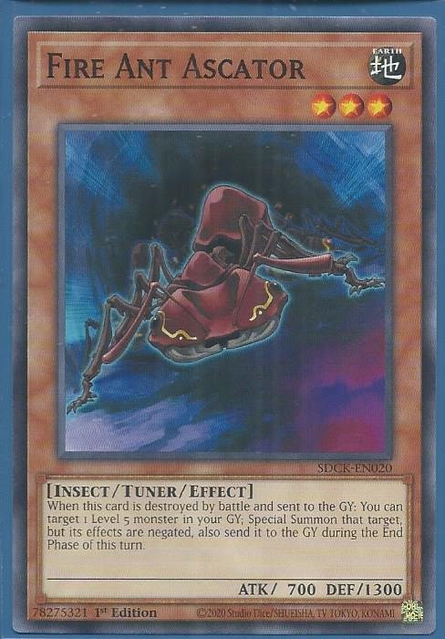 SDCK-EN020 Fire Ant Ascator – Common