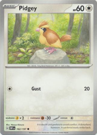 162/197 - Pidgey - Common