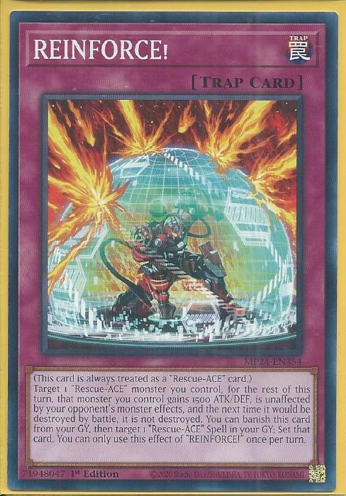 MP24-EN354 REINFORCE – Common