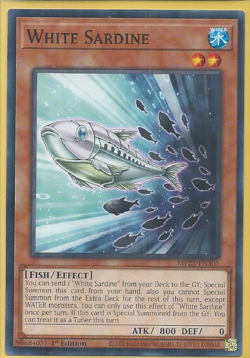 MP25-EN305 White Sardine – Common