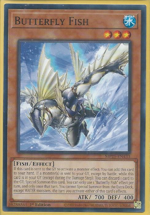 MP25-EN433 Butterfly Fish – Common