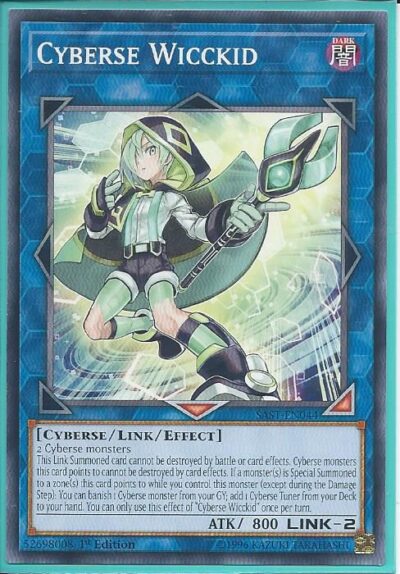kaka SAST-EN044 Cyberse Wicckid – Common